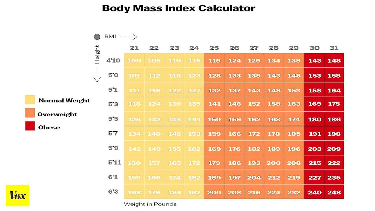 body 3d model visualizer