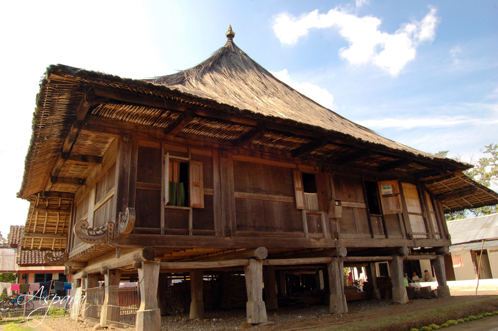  Gambar  Rumah  Adat Di Indonesia Rumah  Minimalis Indonesia 