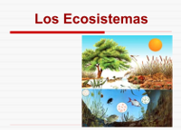 https://docs.google.com/presentation/d/1VvJiFgGf3_mk2iQ-ZMzVzknDSUOuy1ylhNWggxf06vk/present#slide=id.i0