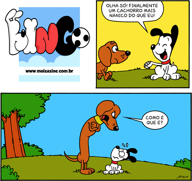 fox paulistinha cachorro salsichinha raça dachshund tirinhas para escolas