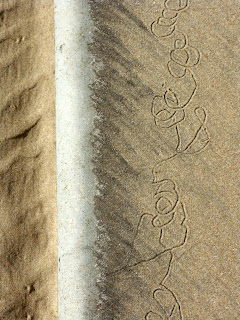 sand worm traces