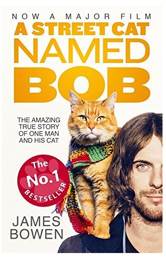 A Street Cat Named Bob (2016) ταινιες online seires xrysoi greek subs