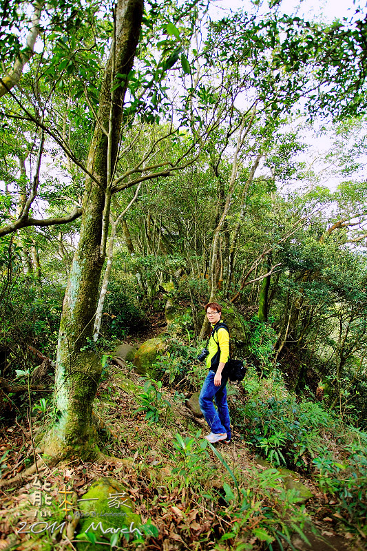 三峽五寮尖登山|踩在腳下的山陵線|牛背脊山線