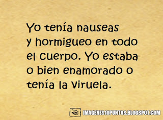 frases chistosas de amor frases chistosas de amor