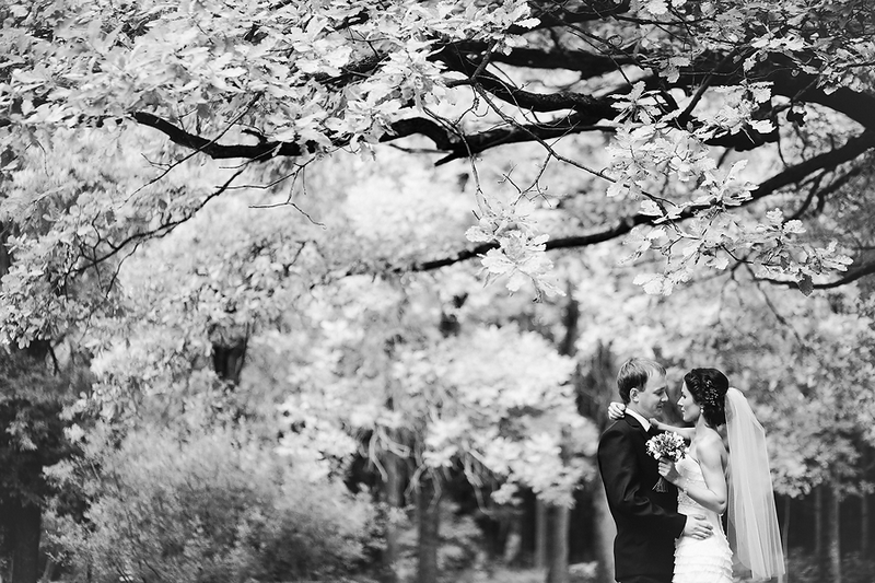 wedding photo shoot, photographer, best, свадебный, фотограф на свадьбу, фотография, фотосет, лавстори, love story