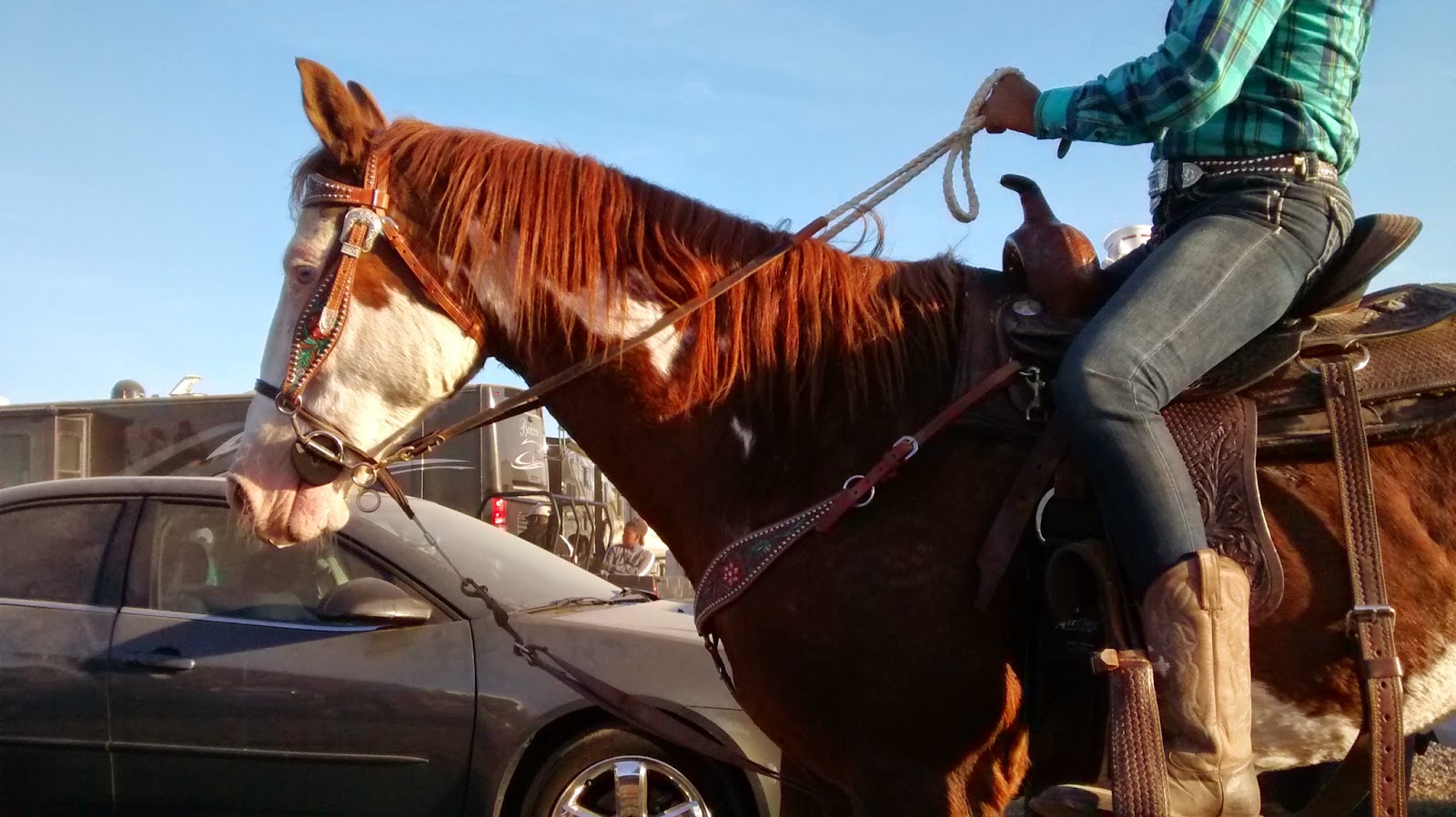 Living Rootless Louisiana Plaisance The StepnStrut Trail Ride