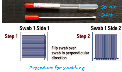 positive control swab negative control swab positive control swab negative control swab