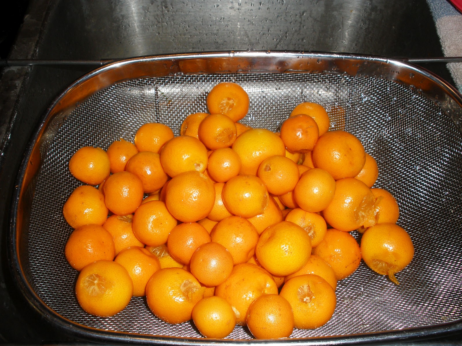 Back to (Urban) Nature The Problem with Kumquats