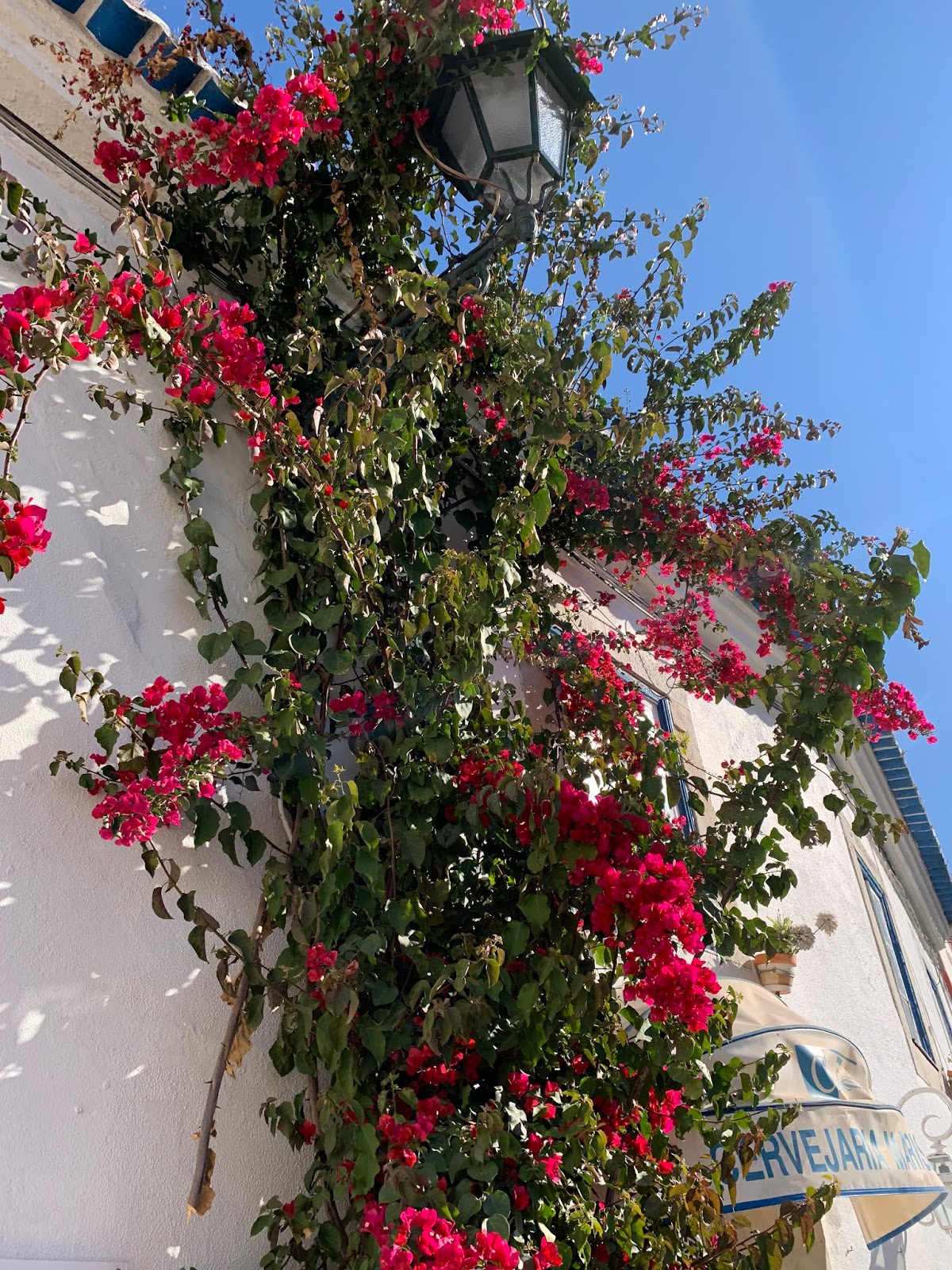 Travel // Cascais, Portugal, part one {AD with Visit Cascais} - Roses ...