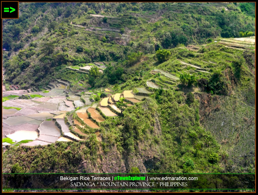 Rice Terraces, Sadanga, Mountain Province