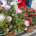 flowers for sale in the city