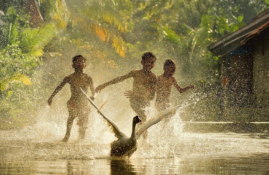 Natural splash artphotography Creative Art and Craft Ideas