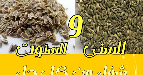 ما هو الخطم والخطم؟