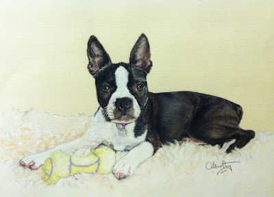 dog portrait in pastel