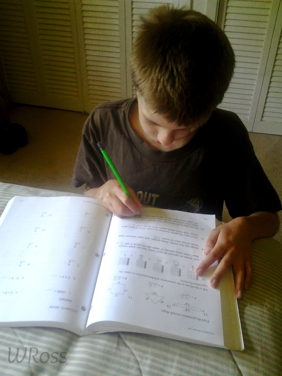 Life at Rossmont: Our Week, Illustrated, April 19-25 {with link up}