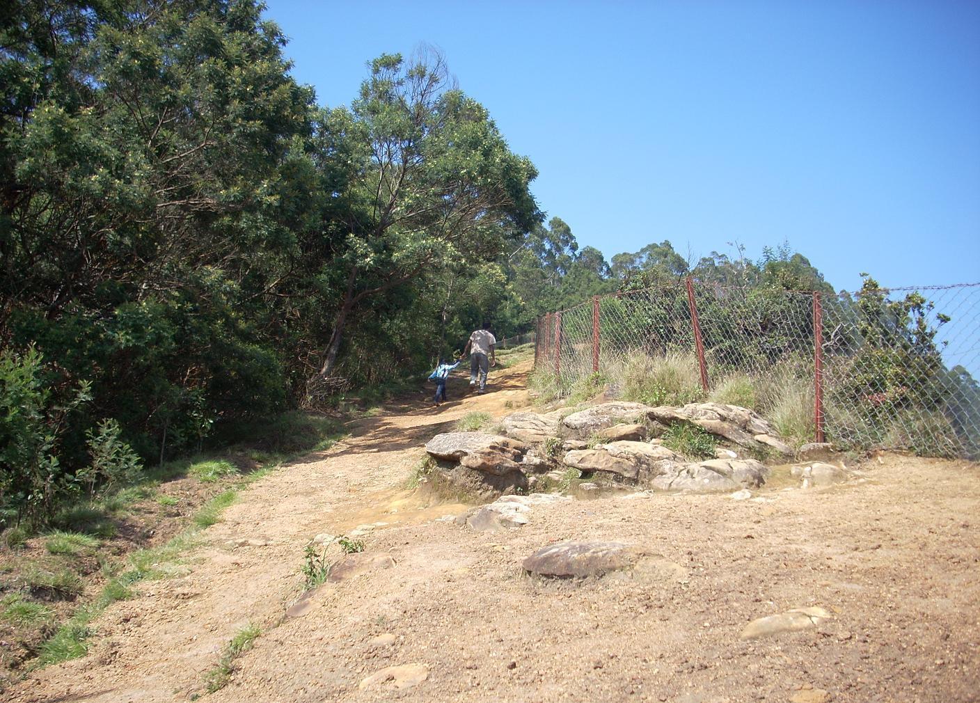 Tamilnadu Tourism Caps Valley View (Thoppi Thooki Paarai), Kodaikanal