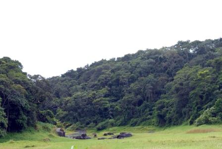 Trilha na Reserva Ecológica Serra dos Cavalos em Caruaru