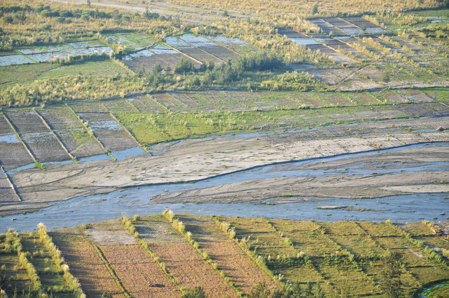 Paddy Field in Sto. Tomas River Rice Paddies
