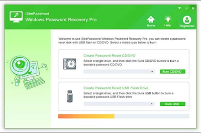 iseepassword license key