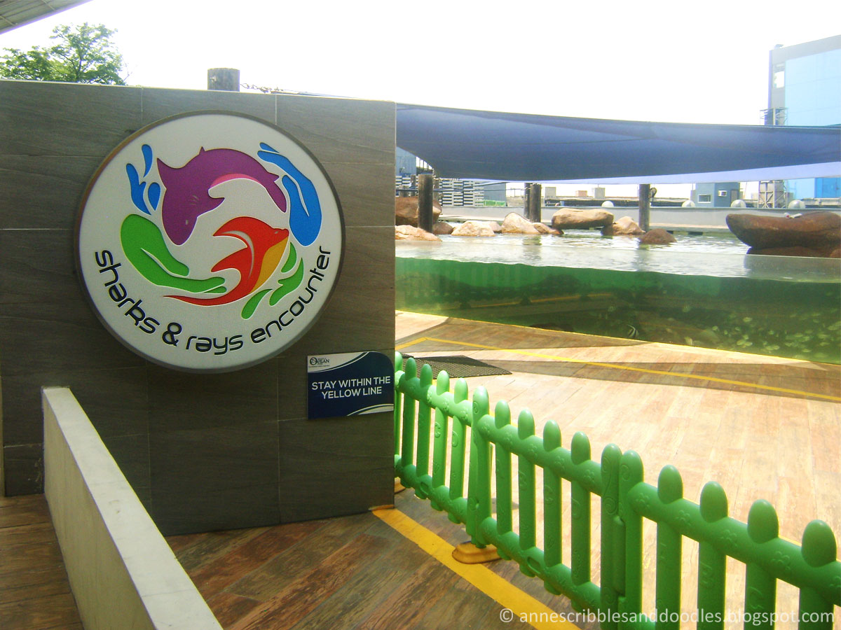 Manila Ocean Park: Sharks and Rays Encounter | Anne's Scribbles and Doodles Manila Ocean Park: Sharks and Rays Encounter | Anne's Scribbles and Doodles