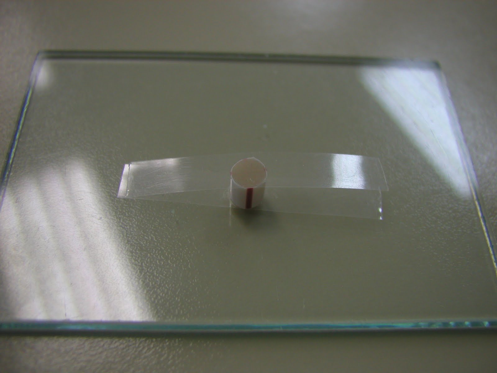 Dental materials How to measure the depth of cure of composites