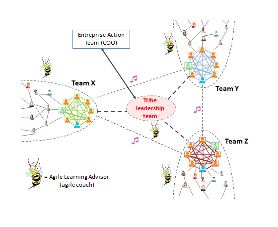 agile environment
