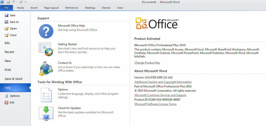 Microsoft office document