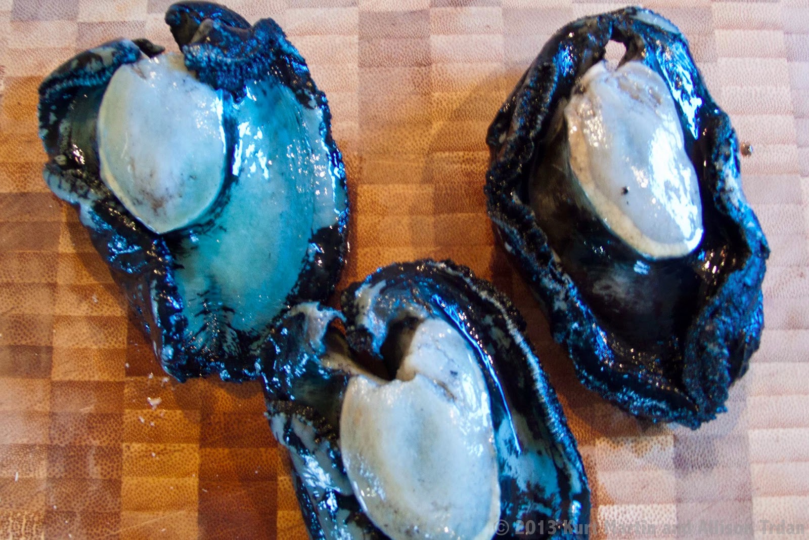 Tree Travels: Martinborough, New Zealand