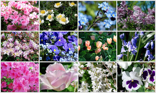 Mille Fiori Favoriti: Fort Tryon Park and Heather Garden