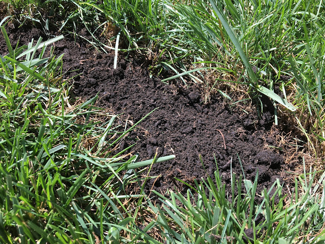 top soil patch in yard