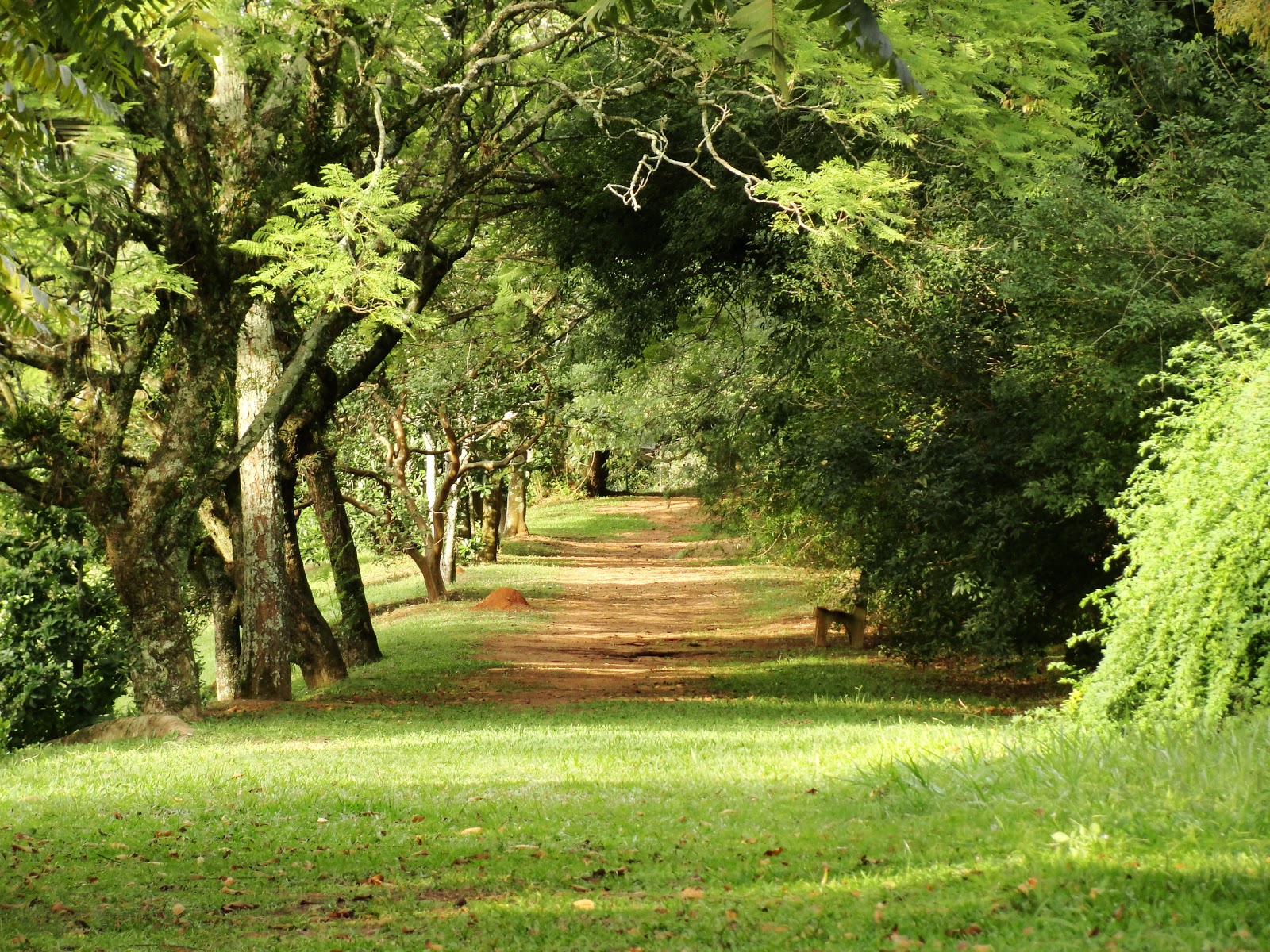 DESTINOS DO SUL Alamedas do Jardim Botânico de Porto Alegre