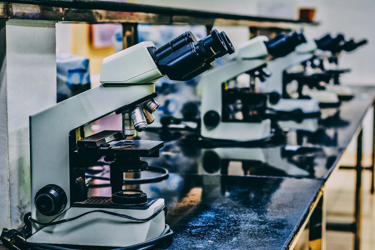 Perbedaan DNA dan RNA Perbedaan DNA dan RNA
