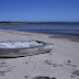 Boat at Kangoroo Island South Australia