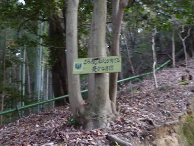 獅子窟寺ハイキング