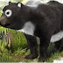 'Primo' mais antigo dos pandas viveu há 11 milhões de anos na Espanha