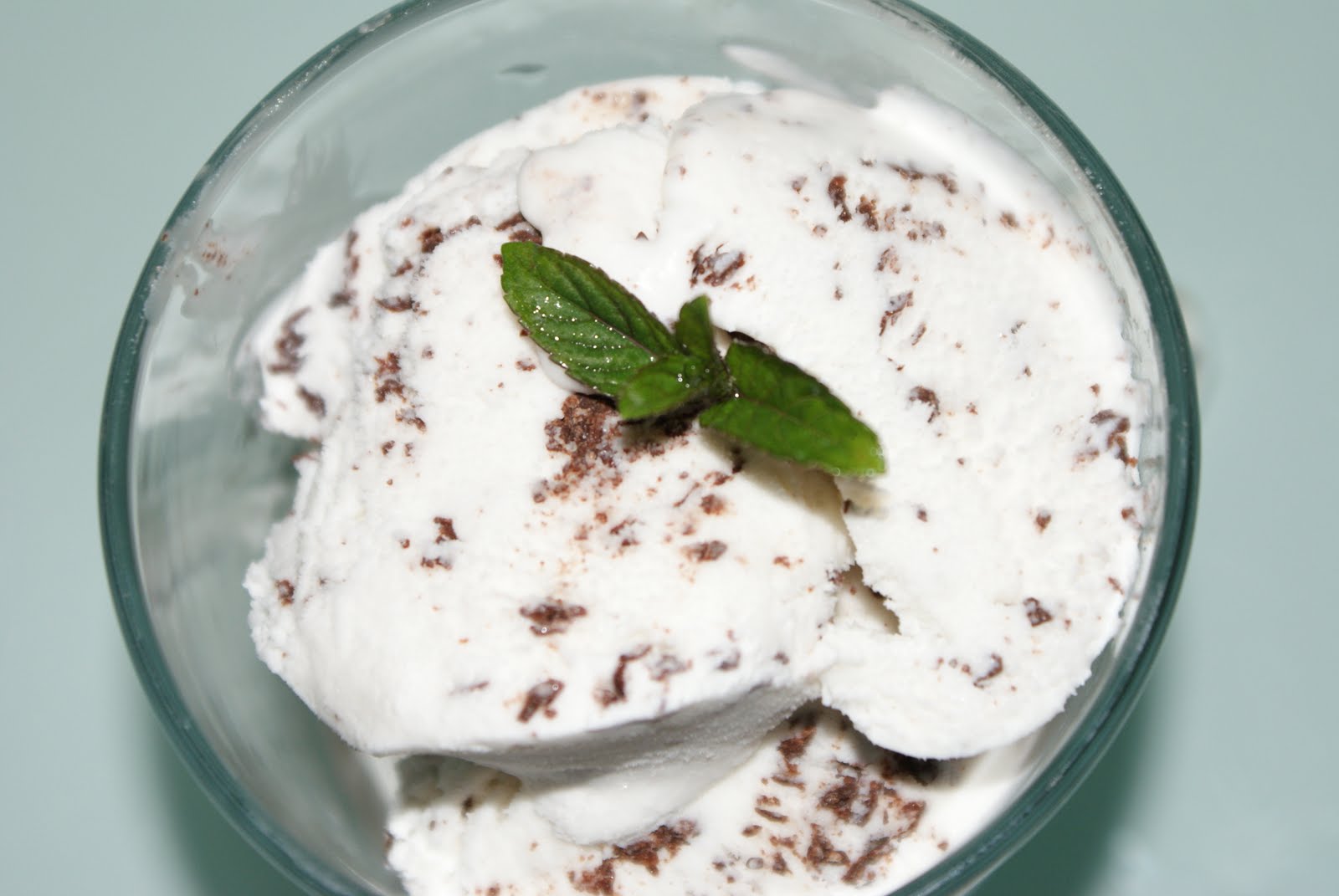 Eating Friendly Coconut "Ice Cream" Competition, Mint Chocolate Chip