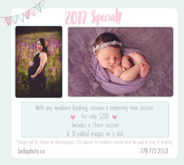 courtenay newborn photographer courtenay baby photographer