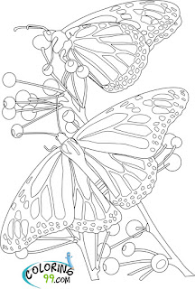 printable butterfly and flower coloring pages