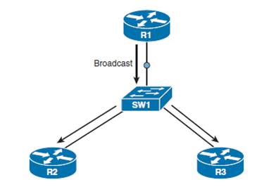 NetSysHorizon: Differences between NBMA - Broadcast - Point-to-Point