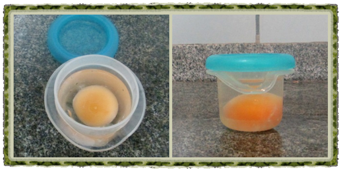 Congelando ovos 3