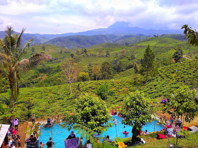 Bukit Kacapi, Kolam renang di tengah hamparan kebun teh Bukit Kacapi, Kolam renang di tengah hamparan kebun teh