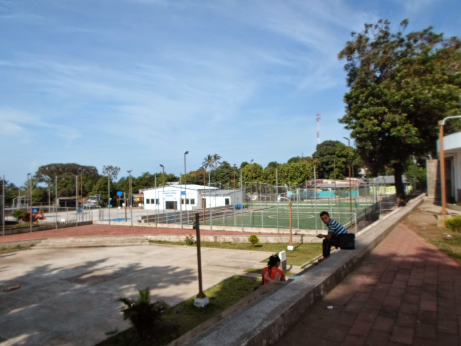 LAS CEIBAS EN EL SALVADOR CEIBA EN ZARAGOZA, LA LIBERTAD, EL SALVADOR