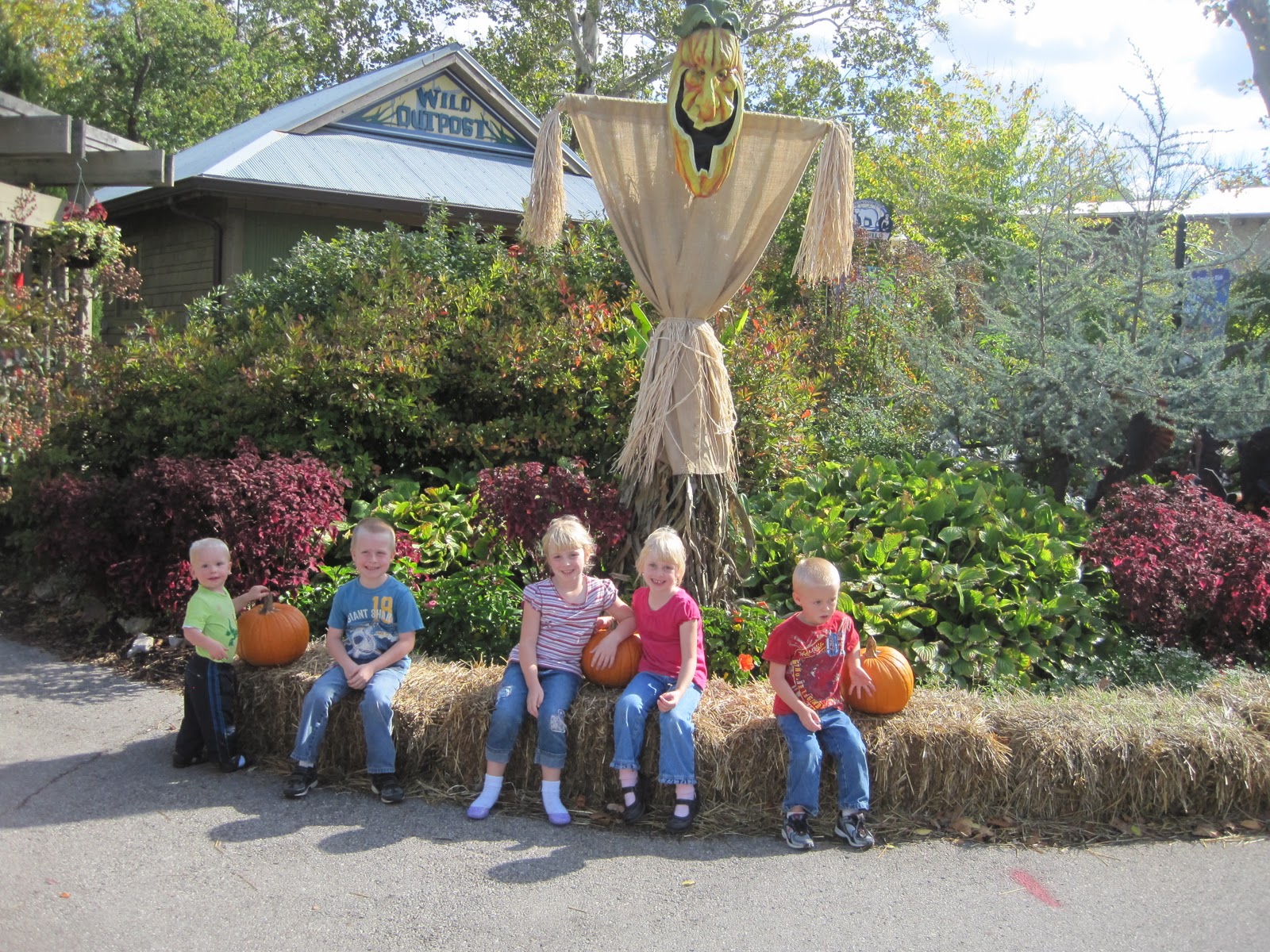 St Louis Zoo Halloween Paul Smith