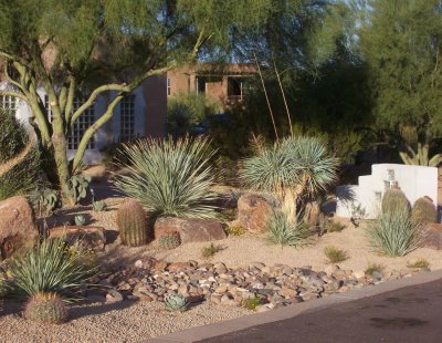 Backyard Desert Landscaping | Design Ideas home