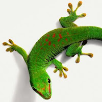 gecko reptil