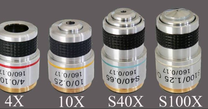 microscope objective lens function - EDUSIP