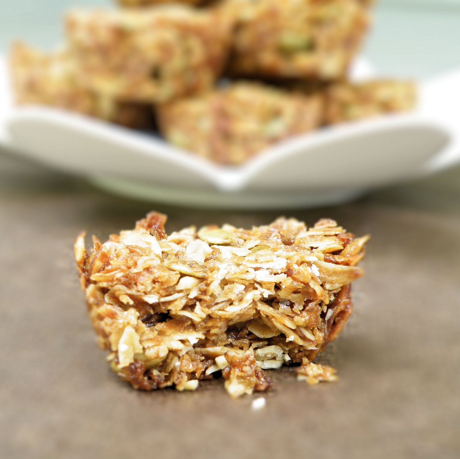 Vittles and Bits Crunchy Granola Bites