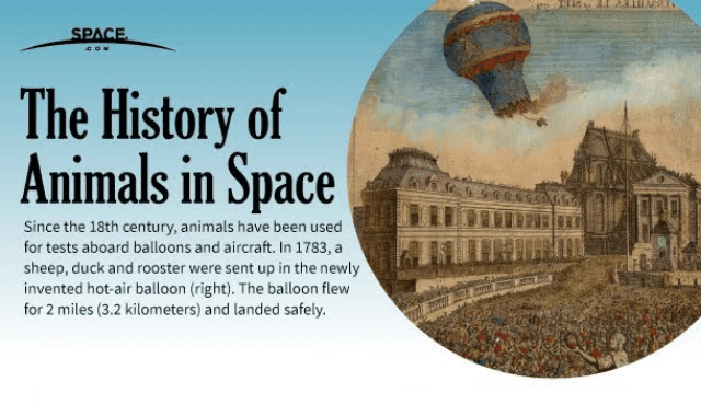 A History of Animals in Space