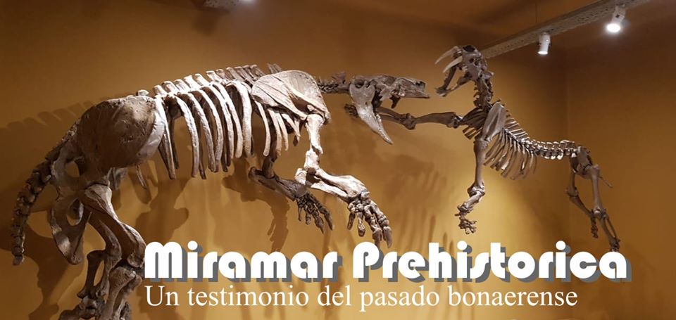 Miramar Prehistórica - Buscanos en Facebook