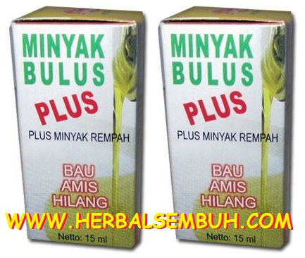 minyak bulus plus asli murah surabaya 085755201000 minyak bulus plus asli murah surabaya 085755201000